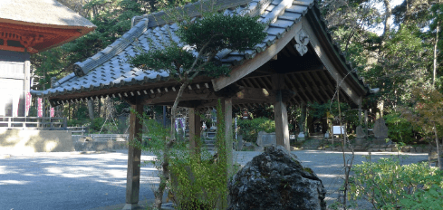 日向山 宝城坊 日向薬師　手水舎の写真