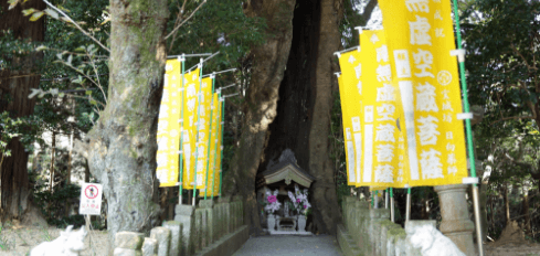 日向山 宝城坊 日向薬師　虚空蔵菩薩の写真